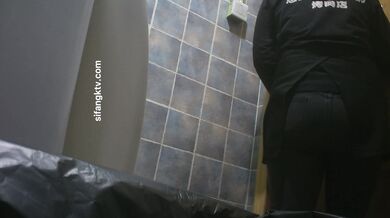 餐厅女厕全景偷拍多位美女嘘嘘❤️各种美鲍鱼完美呈现2 (12)